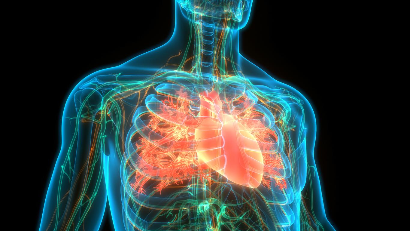 Cardiomyopathie obstructive obstructive : intérêt d'un inhibiteur de la myosine