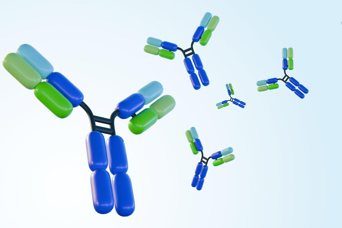 Sclérose en plaques : ocrelizumab tous les 6 mois verus espacement de doses 