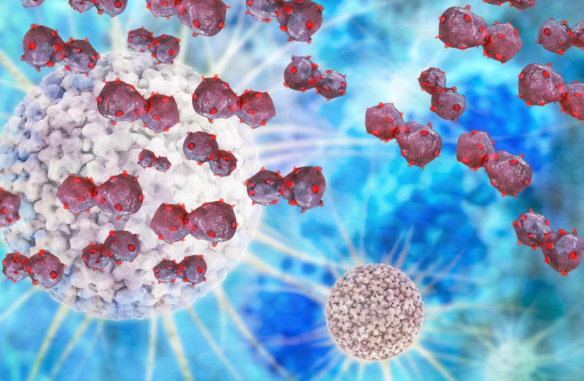 Cancer bronchique non à petites cellules : quelles immunothérapies pour quels malades ? 